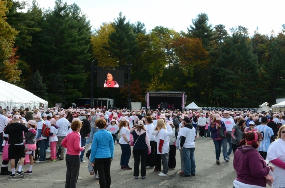 2014 Rays of Hope Run / Walk Toward the Cure of Breast Cancer