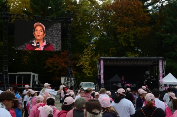 2014 Rays of Hope Run / Walk Toward the Cure of Breast Cancer