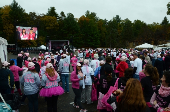 2015 Rays of Hope Run / Walk Toward the Cure of Breast Cancer