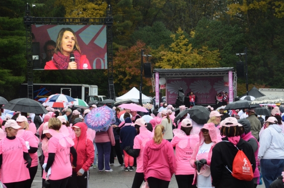 2015 Rays of Hope Run / Walk Toward the Cure of Breast Cancer