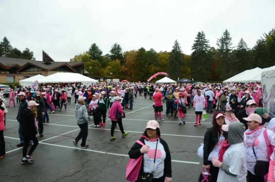 2015 Rays of Hope Run / Walk Toward the Cure of Breast Cancer