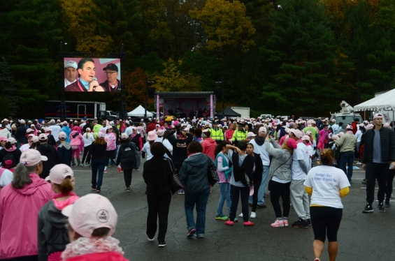 2015 Rays of Hope Run / Walk Toward the Cure of Breast Cancer